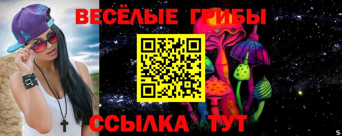 Галлюциногенные грибы Psilocybe  Вход с VPN  Славгород  Псилоцибиновые грибы мицелий 